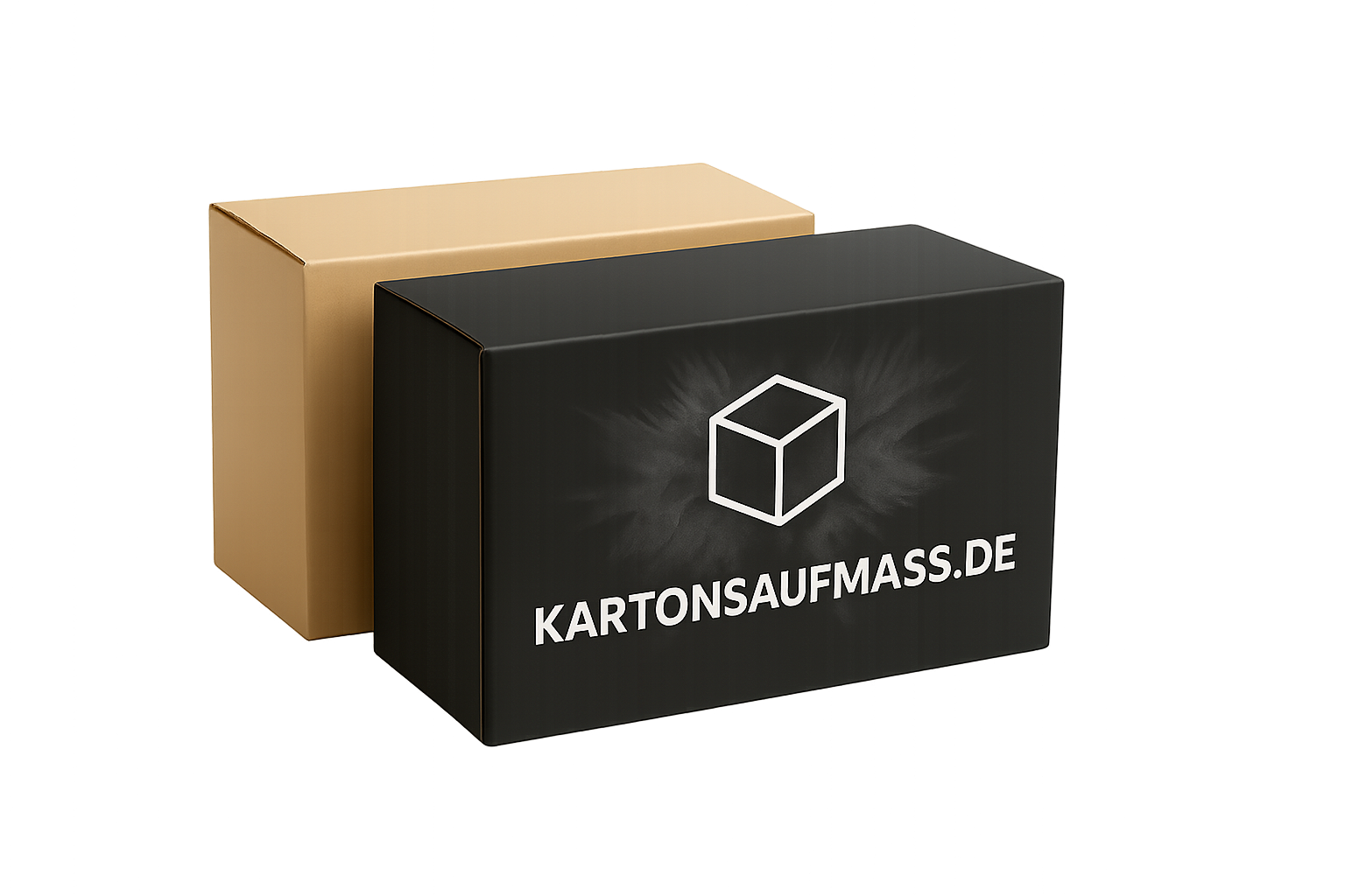 Standardkarton oder maßgeschneiderter Karton | Kartonsaufmass.de