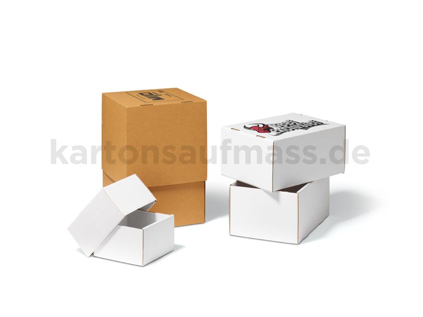 Stülpkarton fefco330 Braun Weiss bedruckt